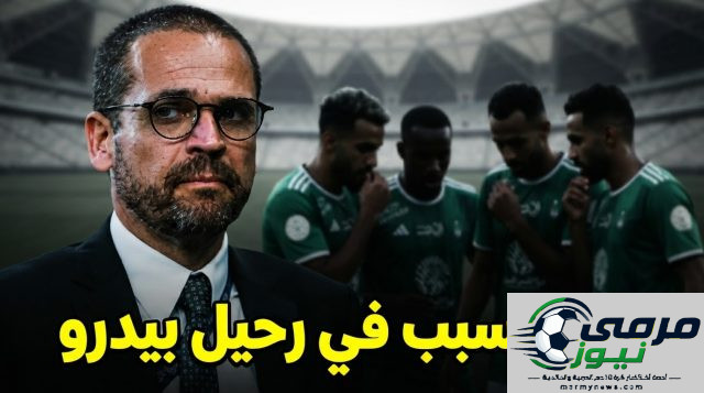 4 لاعبين وراء قرار إقالة روي بيدرو من الأهلي .. من هم ؟